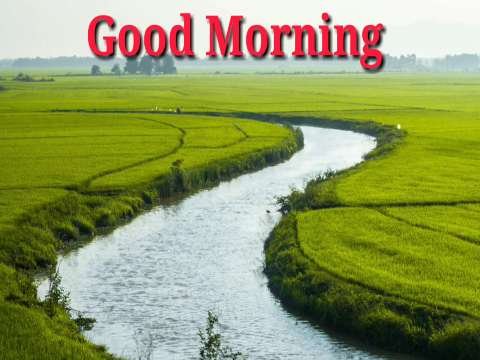 Good Morning Video Status | good morning whatsapp status download | good morning lovely status
