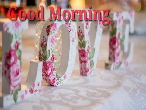 Good Morning Video Status | good morning whatsapp status download | good morning lovely status