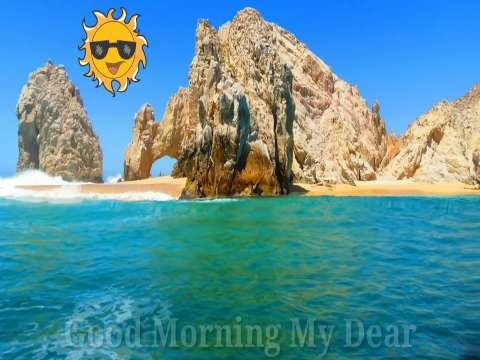 Good Morning Video Status | good morning whatsapp status download | good morning lovely status