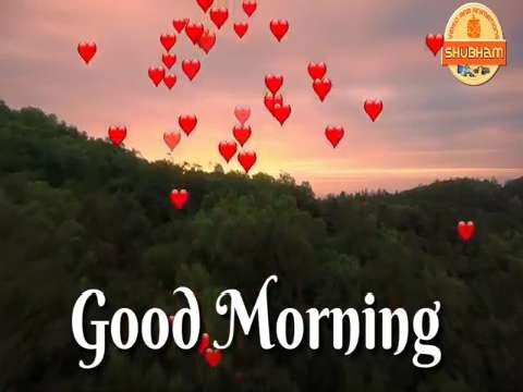 Good Morning Video Status | good morning whatsapp status download | good morning lovely status