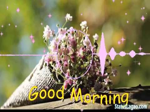 Good Morning Video Status | good morning whatsapp status download | good morning lovely status