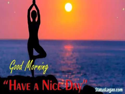 Good Morning Video Status | good morning whatsapp status download | good morning lovely status