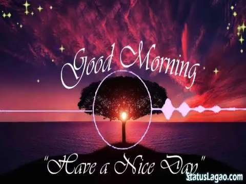 Good Morning Video Status | good morning whatsapp status download | good morning lovely status