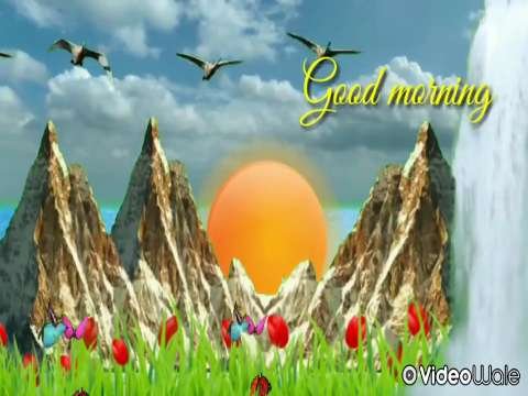 Good Morning Video Status | good morning whatsapp status download | good morning lovely status