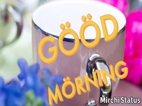 Good Morning Video Status | good morning whatsapp status download | good morning lovely status