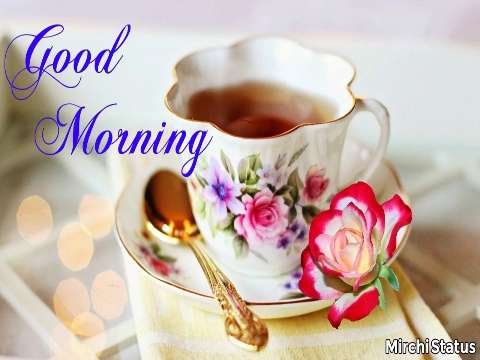 Good Morning Video Status | good morning whatsapp status download | good morning lovely status