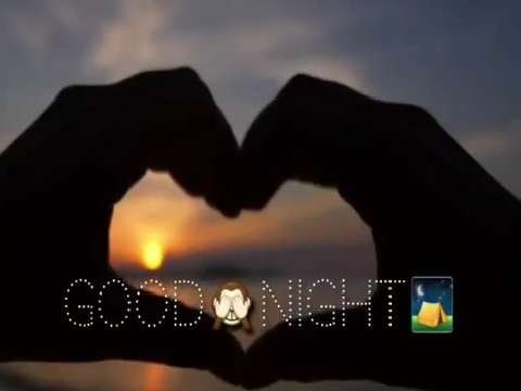 Good Night video status | good night whatsapp status download | good night lovely status