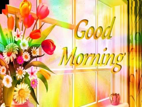 Good Morning Video Status | good morning whatsapp status download | good morning lovely status