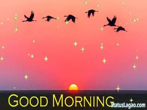 Pyar Soniye Tainu | Good Morning Status Video Download | Good Morning Status