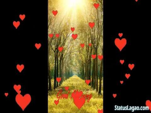 Good Morning Status Video Download | Good Morning Status