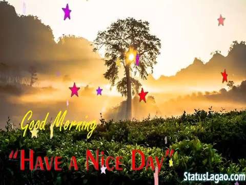 Good Morning Status Video Download | Good Morning Status