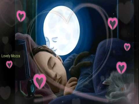 Good Night Status | Good Night Whatsapp Status Video