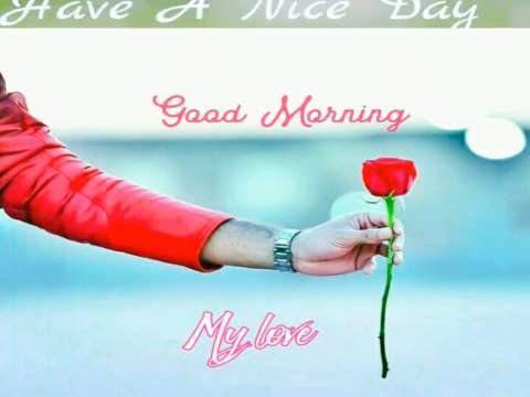 Good morning  | good morning status video | whatsapp status video | good morning video thumbnail