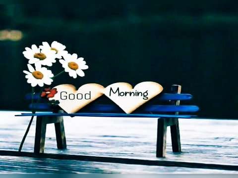 Good Morning Status | good morning video | whatsapp status video | good morning status video thumbnail