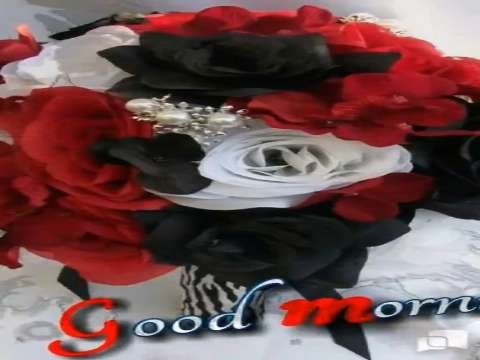 Good morning status | good whatsapp status | good morning video status | good morning status thumbnail