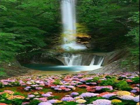 Good morning whatsapp status | good morning love mood | good morning status thumbnail