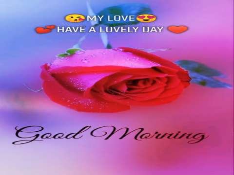 Good Morning Video Status | good morning whatsapp status download | good morning lovely status thumbnail