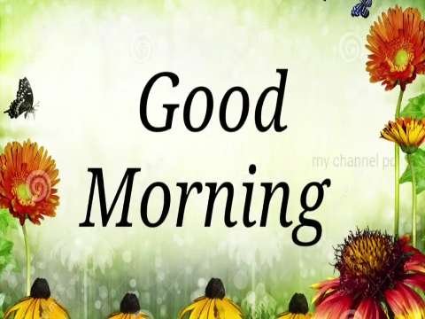 Good Morning Video Status | good morning whatsapp status download | good morning lovely status thumbnail