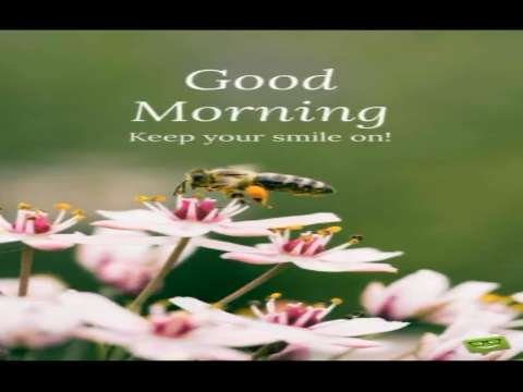 Good Morning Video Status | good morning whatsapp status download | good morning lovely status thumbnail