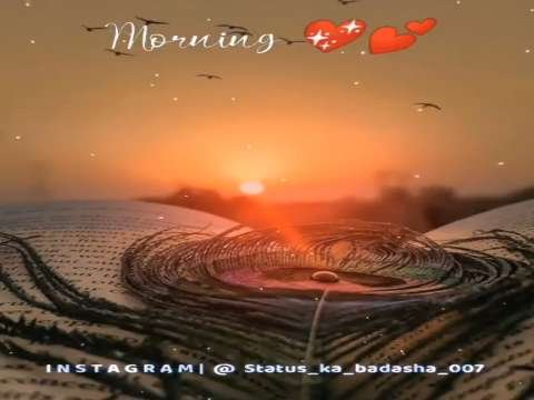 Good Morning Video Status | good morning whatsapp status download | good morning lovely status thumbnail