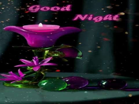 Good Night Video | Good Night Wishes | Whatsapp Status Video