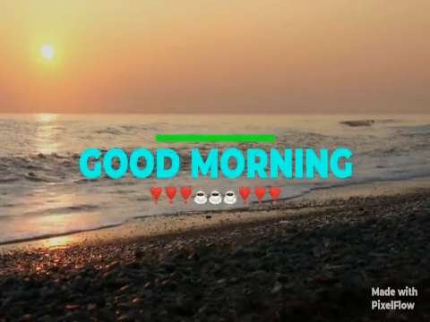 Good Morning Status Video | Good Morning Whatsapp Status Video | Good Morning Love Status | Tere Bin thumbnail