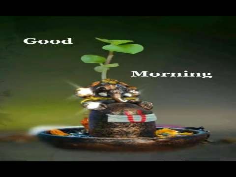 Good Morning Status Video | Good Morning Love Status Video | Good Morning Wishes Video thumbnail
